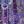Purple Blue Floral