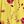 Yellow Red Floral
