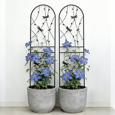 2 Pack Metal Dragonfly Garden Trellis for Climbing Plants, 71" Rustproof Trellis for Flower Support