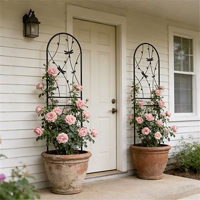 2 Pack Metal Dragonfly Garden Trellis for Climbing Plants, 71" Rustproof Trellis for Flower Support
