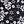 Black White Flower