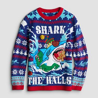 Boys 8-20 Festive Holiday Sweater