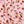Pink Harvest Ditzy