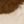 Ivory Brown