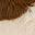 Ivory Brown