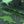 Blue Green