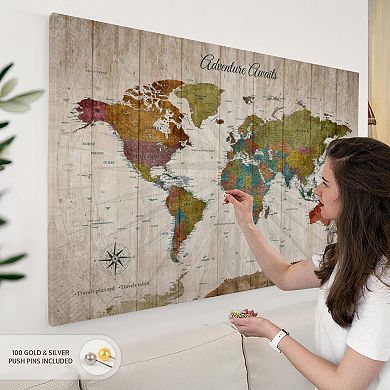 Planned And Taken World Map With Push Pins II