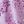 Purple Pink Flower