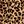 Leopard Print