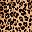 Leopard Print