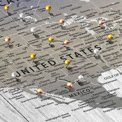 World Travel Map Push Pin I