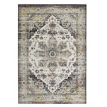 Vintage Area Rug Non Slip Vacuum Clean Ultra Thin Stain Resistant Carpet for Dining Room Bedroom