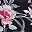 Black Flowers