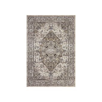 Vintage Area Rug Machine Washable Low Pile Pet Friendly Stain Resistant Carpet for Living Room