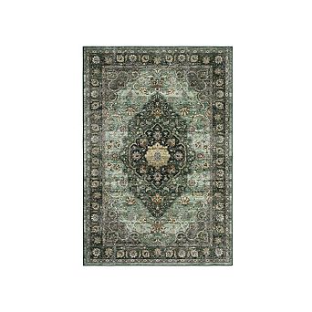 Vintage Area Rug Machine Washable Low Pile Pet Friendly Stain Resistant Carpet for Living Room