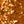 Dark Gold