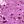 Purple Pink
