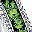 August Peridot