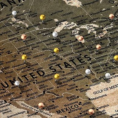 Not Meant To Stay Push Pin World Travel Map
