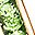 August Peridot
