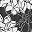 Black White