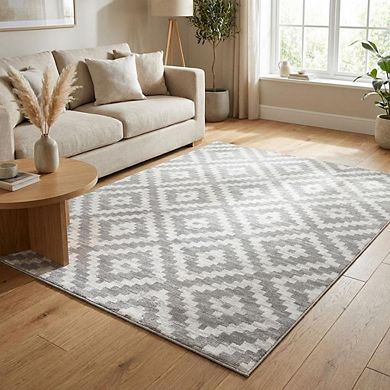 Modern Area Rug Machine Washable Non Slip Non Shedding Stain Resistant Carpet for Bedroom Kitchen