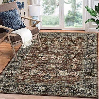 Distressed Area Rug Machine Washable Low Pile Pet Friendly Ultra Thin Carpet for Kid's Room Kitchen