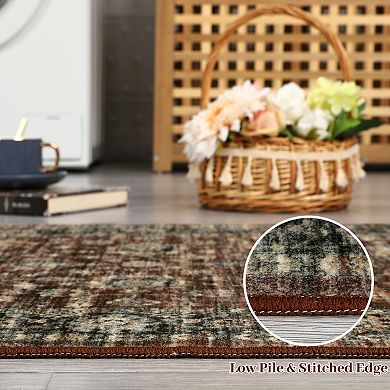 Distressed Area Rug Machine Washable Low Pile Pet Friendly Ultra Thin Carpet for Kid's Room Kitchen