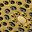 Brushed Gold