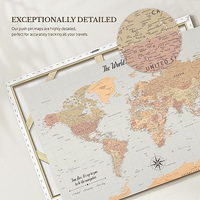 Time Flies Push Pin World Map II