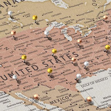Time Flies Push Pin World Map II