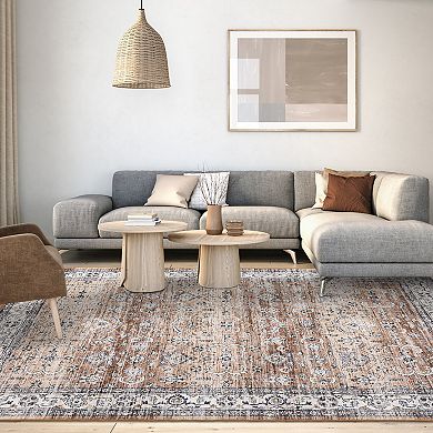 Vintage Area Rug Machine Washable Low Pile Pet Friendly Foldable Floor Cover for Living Room