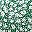 Green Floral