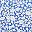 White Dark Blue
