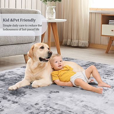 Abstract Area Rug Machine Washable Non Slip Non Shedding Stain Resistant Floor Cover for Bedroom