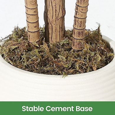 Realistic Artificial Dracaena Tree with Natural Wood Trunk, Tall Faux Yucca Plant for Home Decor