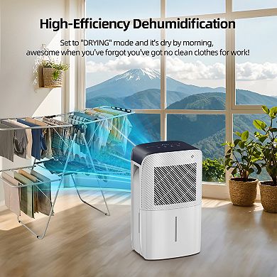 38 pt. 2000 sq. ft. Portable Dehumidifier in White with 6.55 pt. Bucket, Auto Defrost, 2-Fan Speeds
