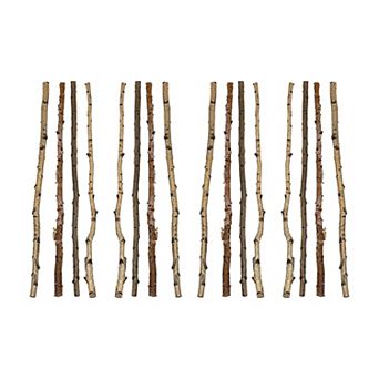 Hello Honey 59" Long Wood Birch Branch (Set of 16 pc / Each one will vary)