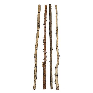 Hello Honey 59" Long Wood Birch Branch (Set of 16 Pieces / Each one will vary)
