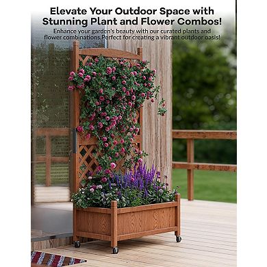 Wood Planter Box with Trellis, Raised Garden Bed with Lattice & Wheels, Privacy Planters for Patio