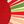 Red Green