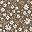 Brown White