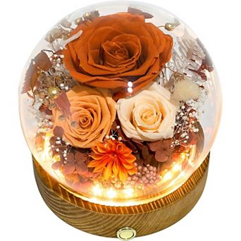 Forest Long-Lasting Real Flowers, Unique Floral Gift For You to Send Love, for Indoor Decoration
