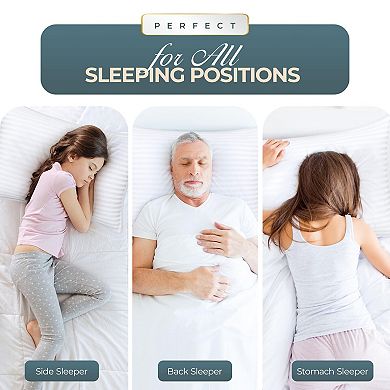 Set of 2 Soft Queen Size Down Alternative Pillows: Plush, Breathable, Supportive for Side Sleepers