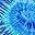Blue Jerry
