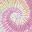 Desert Rose