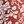 Ivory Pink Floral
