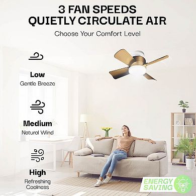 Bell+Howell 15.7-inch Socket Fan with Remote & 3 Speed Settings