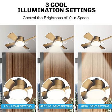 Bell+Howell 15.7-inch Socket Fan with Remote & 3 Speed Settings