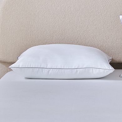 Indulgence by Isotonic Memory Foam Core Hybrid Pillow